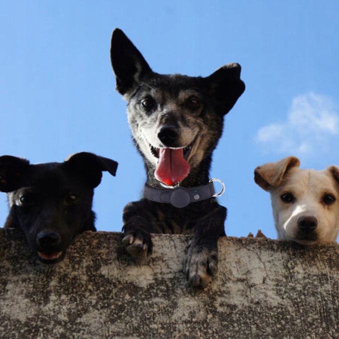 Obroża dla psa Mi Tag Lokalizator AirTag iOS Apple iPhone iPod roz.L Czarna