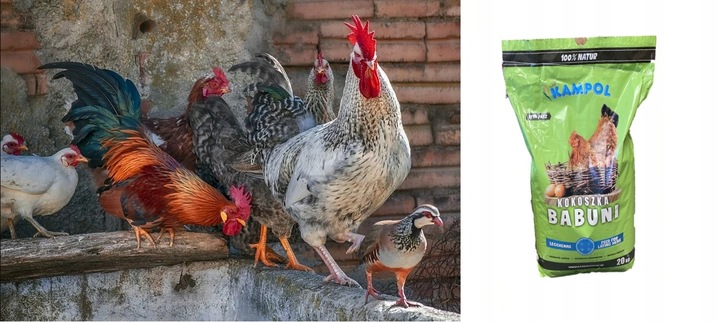 Karma NIOSKA SYPKA Kokoszka Babuni Kampol drób