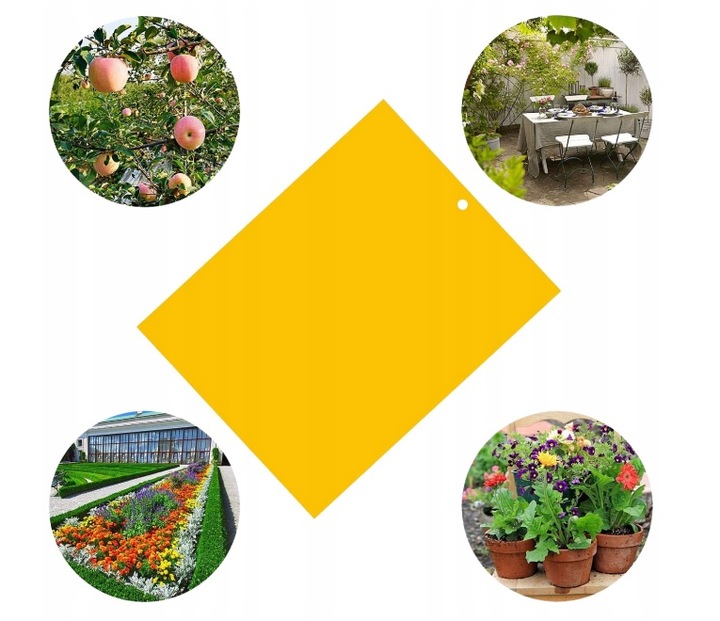 Żółte tablice lepowe na ziemiórki 10 szt. Dwustronny Lep, Biodegradowalne