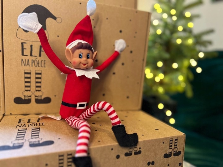 Elf na półce z drucikami - chłopiec Elve's Behavin Badly, psotnik 30 cm