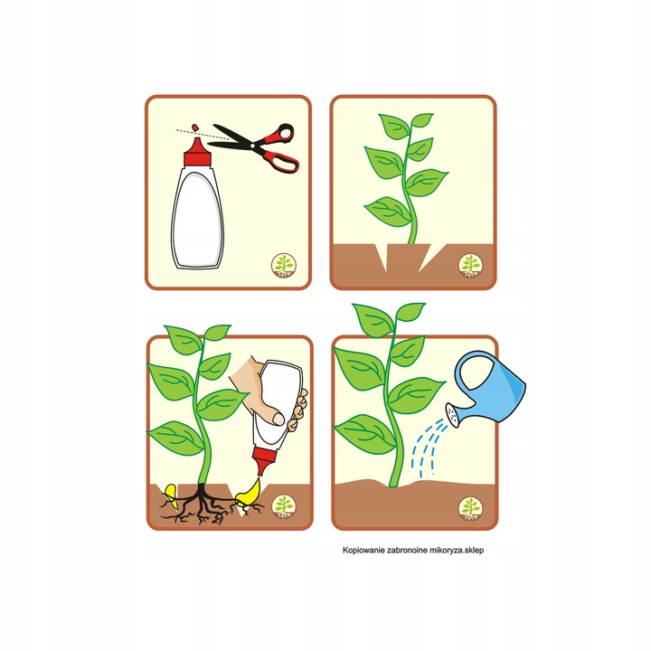 Mikoryza dla drzew liściastych