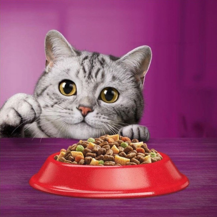 WHISKAS sucha karma dla kota z kurczakiem 14 kg