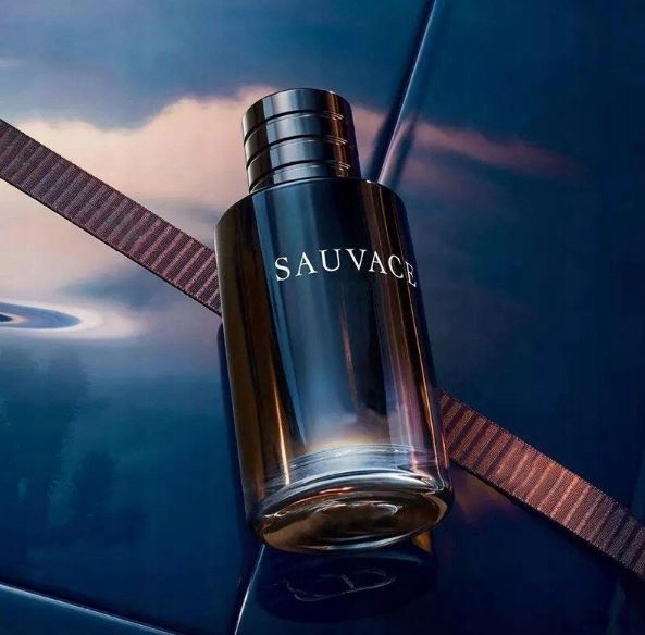ELIXIR SAUVAGE SAUVACE ELIXIR | Perfumy Męskie 100ml