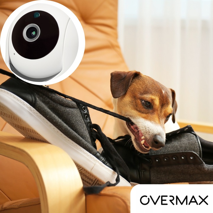 KAMERA DLA PSA KOTA DO OBSERWACJI MONITORING DOMU APLIKACJA Karta SD GRATIS