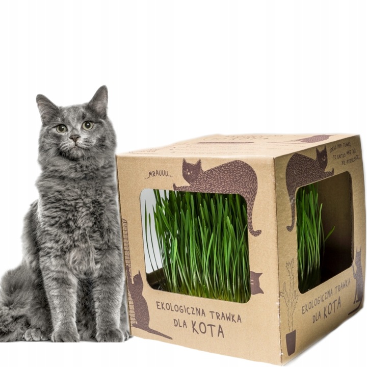 2x EKO Trawka Dla Kota Trawa Odkłaczająca Przysmak EKOLOGICZNA WYROŚNIĘTA