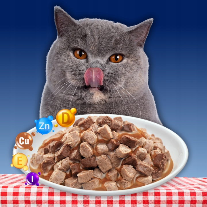 MOKRA KARMA DLA KOTA MIX SMAKÓW MEGA BOX SASZETKI W SOSIE 48X100G PREVITAL