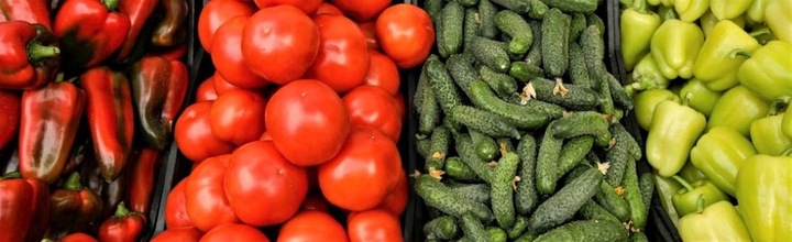 MOCNY TUNEL FOLIOWY OGRODOWY SZKLARNIA 4x2m JAKOŚĆ 8m2 PREMIUM