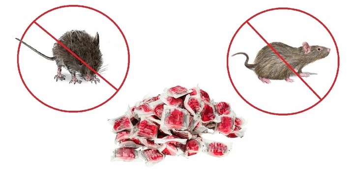 ZESTAW DO DERATYZACJI STACJA TRUTKA MYSZY SZCZURY