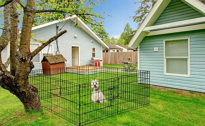 Kojec Klatka Modułowa Dla Psa Kota Królika Wybieg Zagroda Składana 61X61 cm