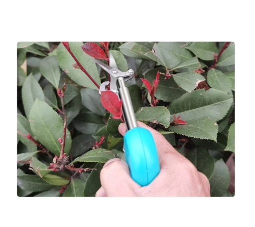 SEKATOR PRECYZYJNY DO PODCINANIA MŁODYCH PĘDÓW