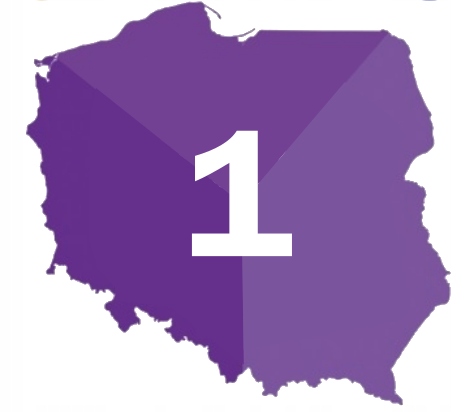 Mospilan 80g mszyca stonka gąsienice ćma larwy