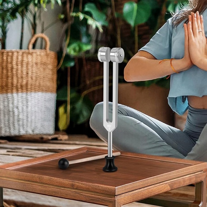 Kamerton 128/256/512 HZ aluminium do diagnostyki słuchu wibracji Stroik