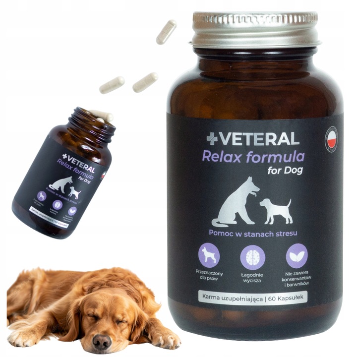 SUPLEMENT USPOKAJAJĄCY na STRES dla PSA Relax Formula Dog