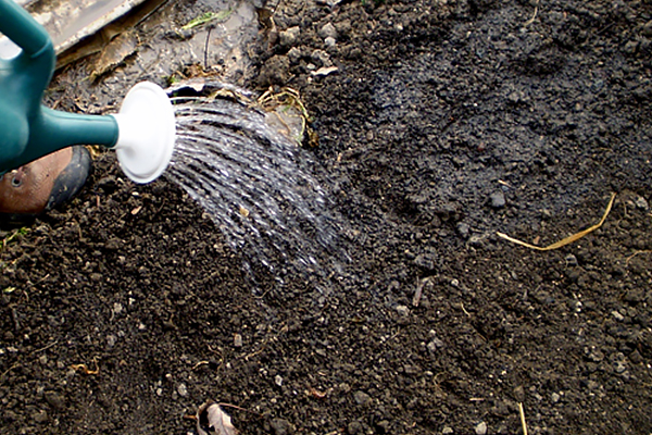 Nawóz do trawy SZYBKI EFEKT 10 kg Florovit