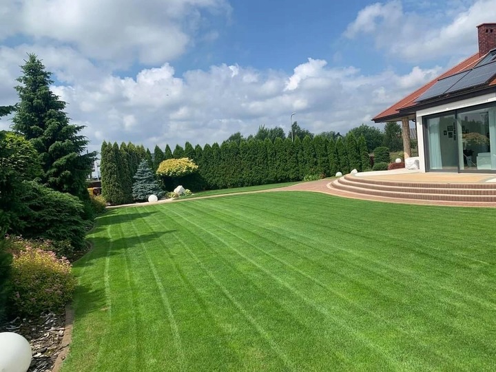 Nawóz do trawy do trawników na lato MAGGROW 20 kg