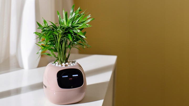 Inteligentna doniczka IVY SMART PLANTER osłonka na donicę PLANTSIO RÓŻOWA