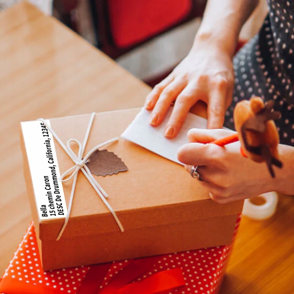 Phomemo drukarka termiczna etykiet wysyłkowych D520-BT Bluetooth USB