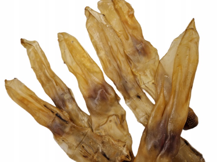 NATURALNY GRYZAK DLA PSA PRZYSMAKI SMACZKI UCHO KRÓLICZE 500 G SUSZONE