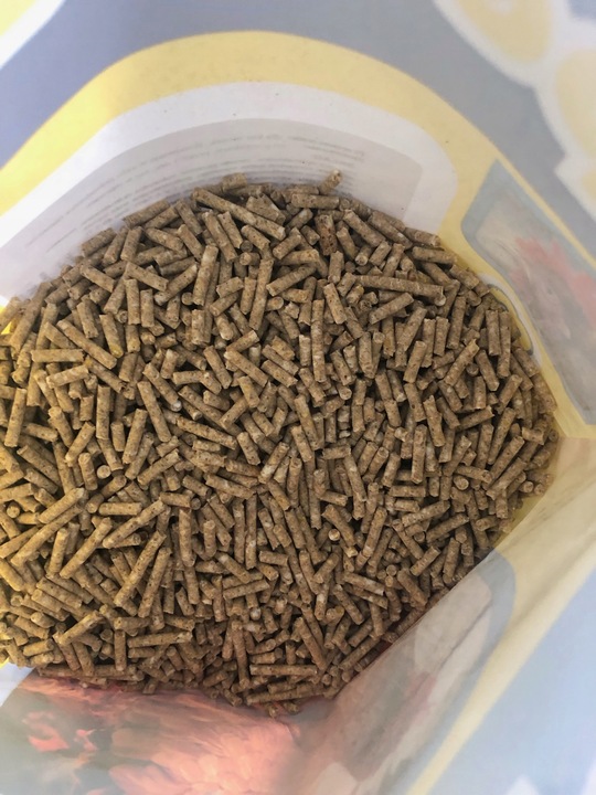 Speed Layer pasza dla kur niosek Dopalacz nieśności Kura Nioska 5