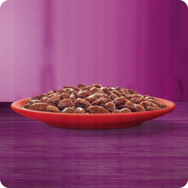 MOKRA KARMA DLA KOTA WHISKAS KLASYCZNE SMAKI W SOSIE MIX SMAKÓW 80x85G