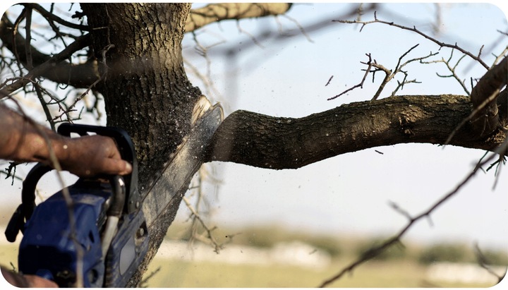 Olej do smarowania łańcucha prowadnic do pił 5L