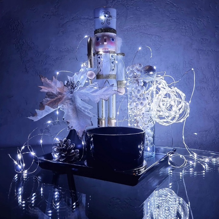 LAMPKI DRUCIKI 100LED MIKRO NA PRĄD ZIMNE BIAŁE ZASILACZ zew/wew 8 FUNKCJI