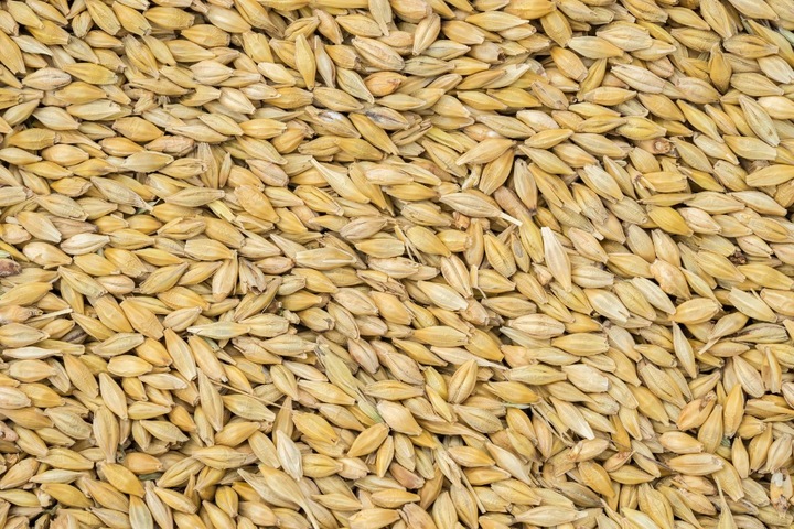 Karma Jęczmień pasza całe ziarno karma dla kur gołębi koni cieląt 25 kg