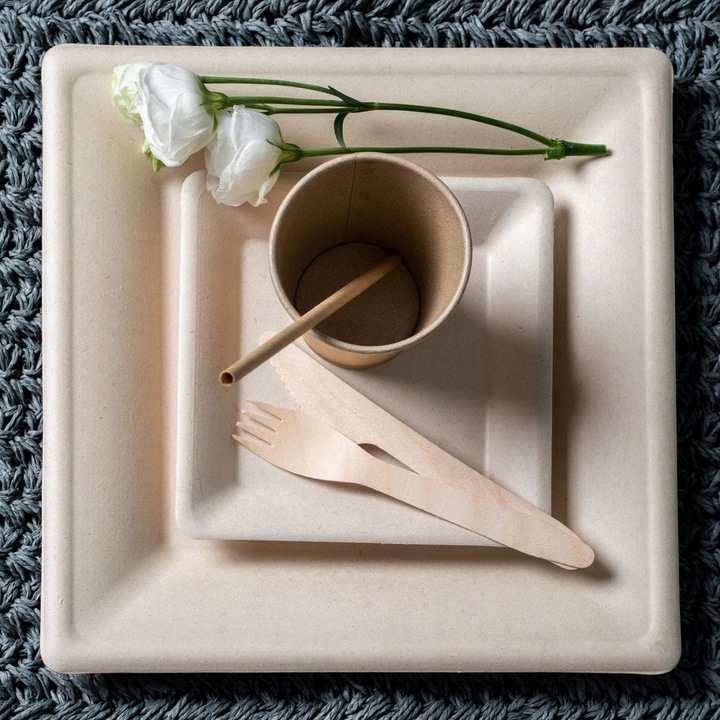 Zestaw z trzciny cukrowej kwadratowy brąz/12 osób