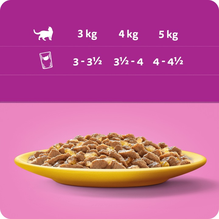 MOKRA KARMA DLA KOTA WHISKAS DROBIOWE SMAKI W GALARETCE 80x85G