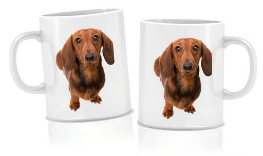 Zestaw PODUSZKA + KUBEK JAMNIK