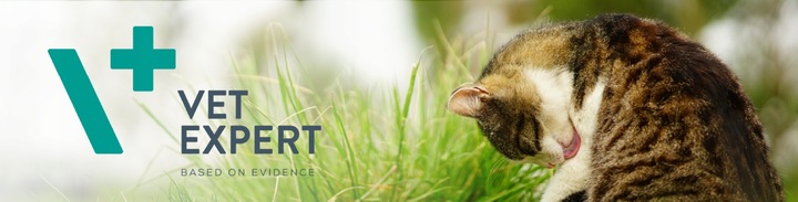 Sucha karma dla kotów wsparcie trawienia Vet Expert Intestinal 2 kg