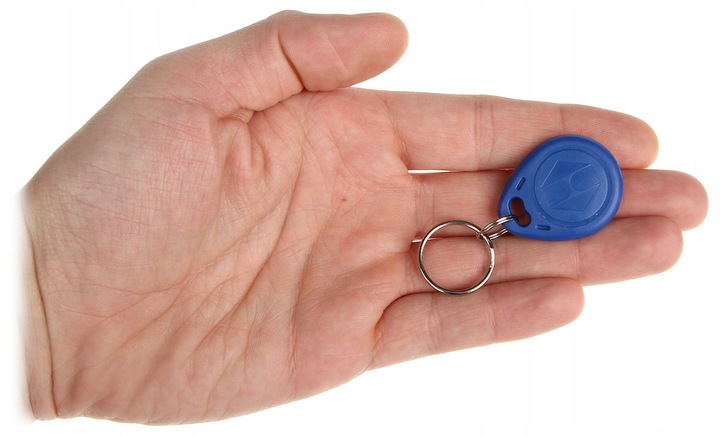 20szt. BRELOK PASTYLKA PESTKA do domofonu 125 kHz TAG RFiD kontrola dostępu