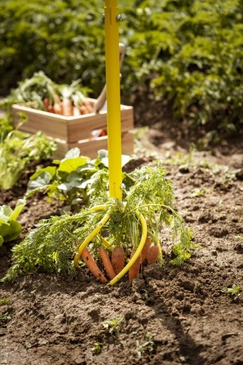 XXL KULTYWATOR SPULCHNIACZ GLEBY RĘCZNY ADLER