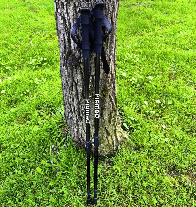 KIJKI DO NORDIC WALKING KIJE TREKKINGOWE DLA DZIECI SKŁADANE REGULOWANE x2