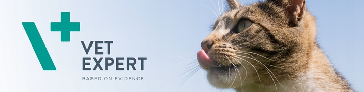 Preparat dla psów kotów na układ nerwowy Vet Expert Neurosupport 45 kaps