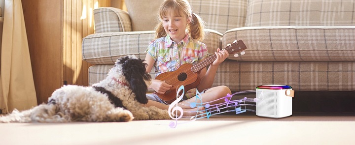 MINI MASZYNA DO KARAOKE PRZENOŚNY Z 2 MIKROFONAMI BEZPRZEWODOWYMI