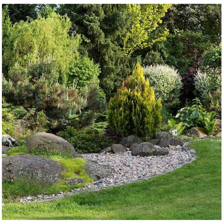 NAWÓZ DO TUI I CYPRYSÓW 5 KG AGRECOL IGLAKÓW CIS