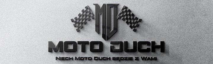 LAKIER SAMOCHODOWY SPRAY FORD