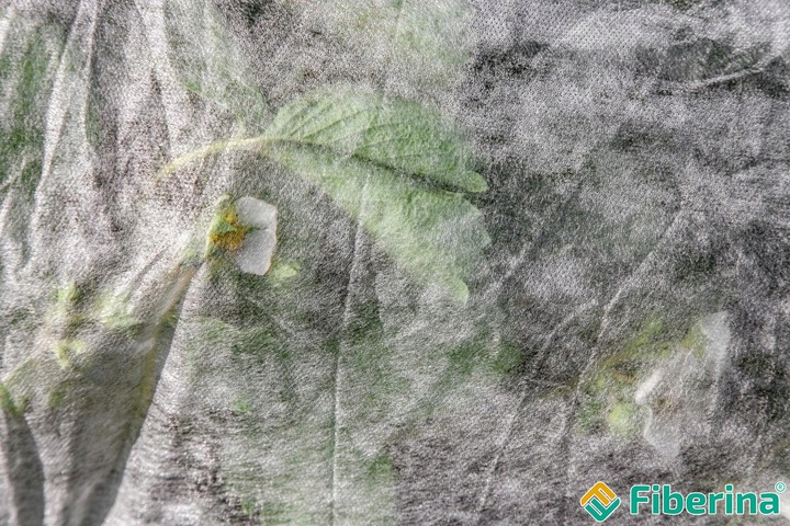 Otulina Wiosenna 3,2x20m Okryciowa 19g/m2 Lekka Rośliny Włóknina Ziemniaki