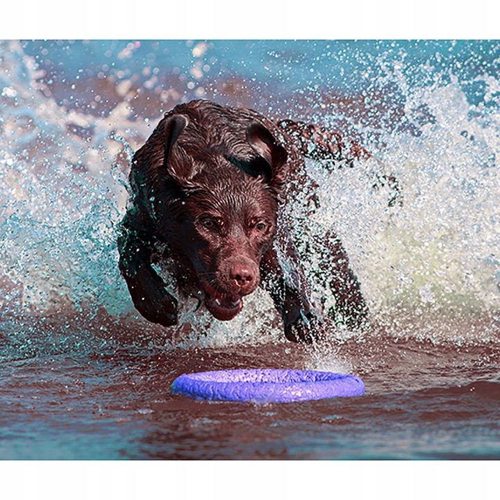 Szarpak dla psa PULLER Standard 28 cm - Zabawka 2 ringi dla dużych ras psów