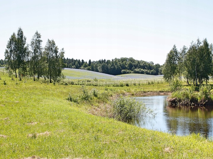 Olej z orzechów włoskich 250ml Warmińska Manufaktu