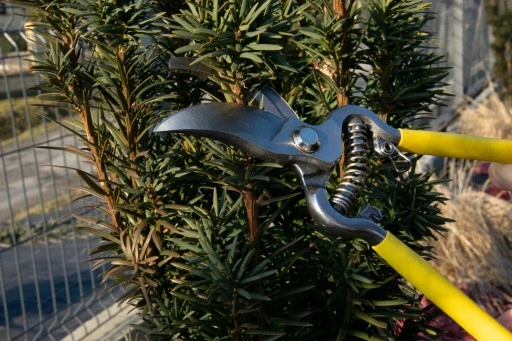 SEKATOR NOŻYCE OGRODOWE DO GAŁĘZI RĘCZNY KRZEWÓW