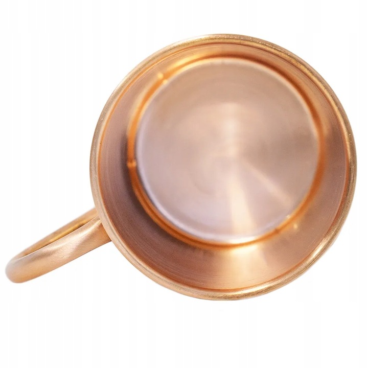 Kubek miedziany Fern 450ml