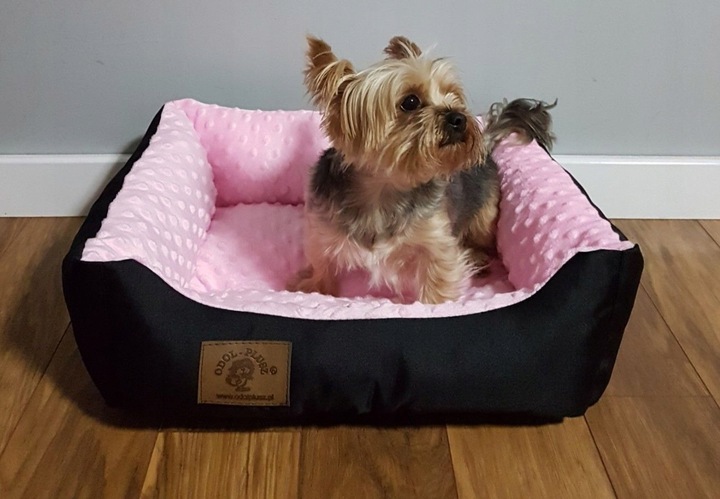 LEGOWISKO KANAPA DLA PSA KOTA YORK 50 x 40 ŁÓŻKO