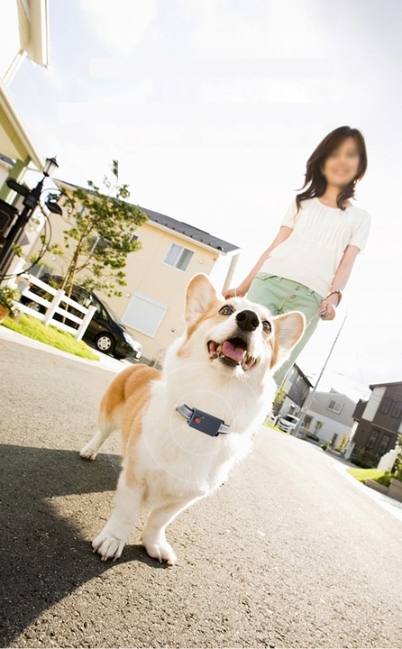 MINI LOKALIZATOR GPS TRACKER SINOTRACK ST904 PODSŁUCH SOS 15DNI 1200mah APP