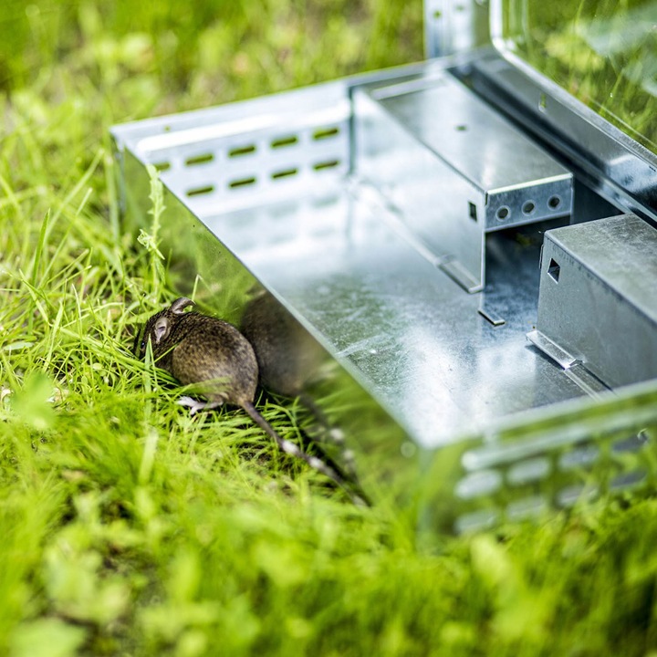 Pułapka Na Myszy Szczury Gryzonie Łapka Żywołapka Myszołapka Humanitarna