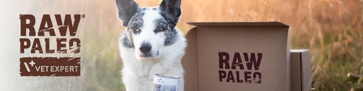 Mokra karma dla psów dorosłych indyk Raw Paleo 12 x puszka 800g