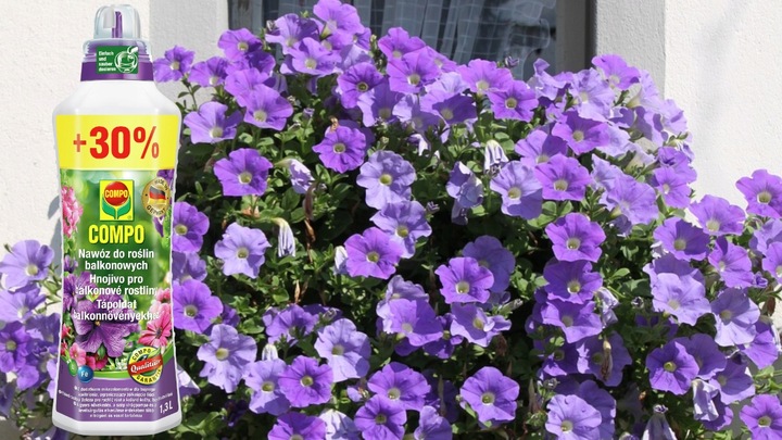 NAWÓZ DO ROŚLIN BALKONOWYCH PELARGONII SURFINII PETUNII PŁYNNY 1,3L COMPO