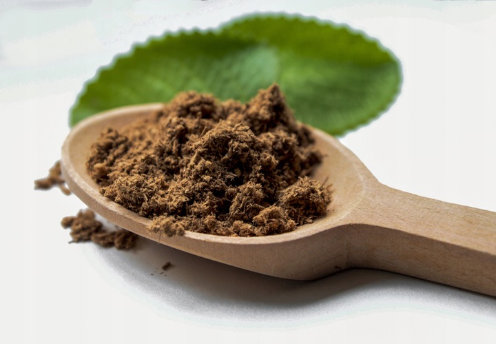 Reishi Ganoderma Lucidum 50g - ZDROWIE ODPORNOŚĆ