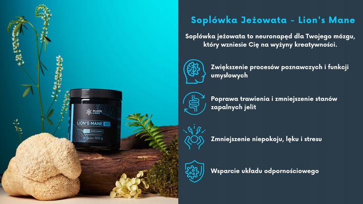 Lion's Mane - Soplówka Jeżowata DER 20:1 30g - Slavic Labs